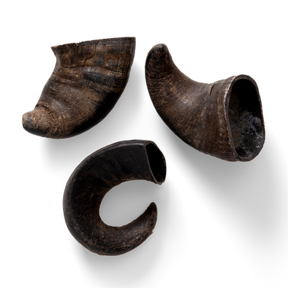 NAW Buffalo Horn Small (3PK)